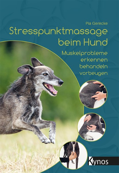 Stresspunktmassage beim Hund