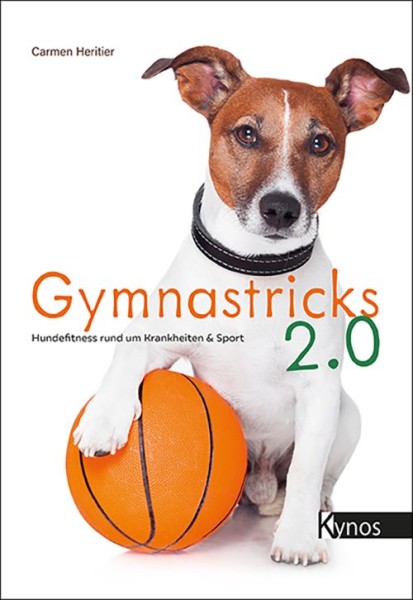 Gymnastricks 2.0 – Hundefitness rund um Krankheit & Sport