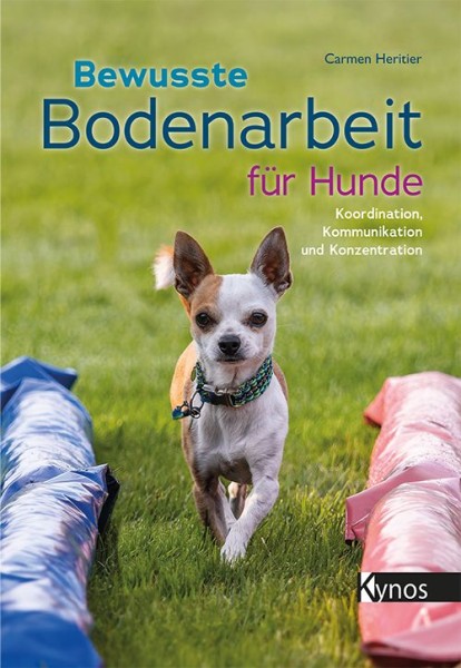 Bewusste Bodenarbeit für Hunde