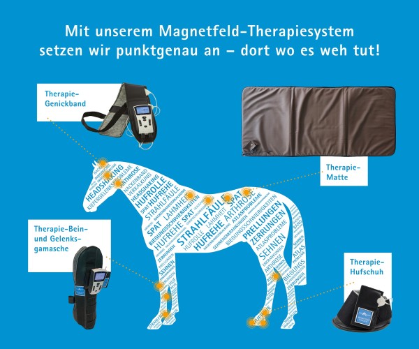 Sarah Mergen Quartett Pferd Magnetfeldtherapie