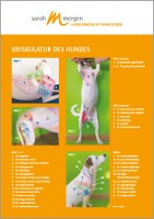 Sarah Mergen Anatomieposter Hund Sarah Mergen Anatomieposter Hund